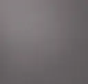 Modern Gray