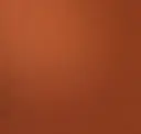 Pumpkin Patch