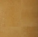 Byzantine