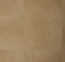 Panissa