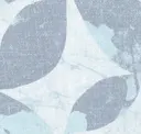 Aqua