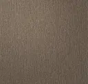 Mica