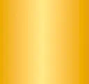 X1 Brass