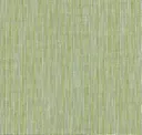 Fern