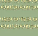 Green Tea + Canary Yellow