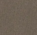 Shitake
