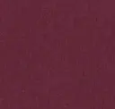 Aubergine