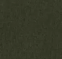 Army
