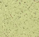 Pear Green