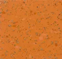 Citrus