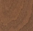 Acorn