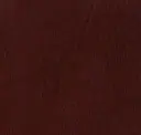 Beetroot
