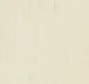 Parchment