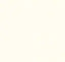 White - No Grain