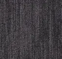 Black Plum