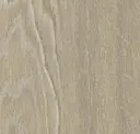 Sessile Oak Comfort