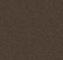 Eco Brown