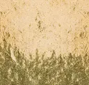 Silicon Bronze Light