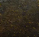 Silicon Bronze Rust