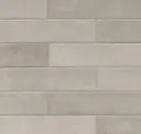 Tortora