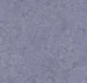 Not Your Ravens Purple