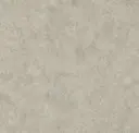 Pale Ale