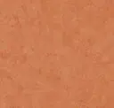 Oriole