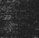 Iron Black Plum
