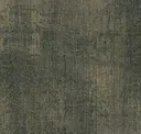 Obscura Olive