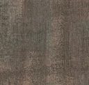 Obscura Blush