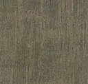 Umbra Olive