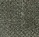 Seed Dark Green 5595
