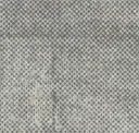 Seed Grey