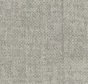 Seed Light Grey