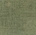 Leaf Light Green