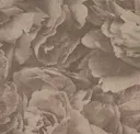 Full Bloom