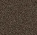 Eco Brown