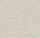 Griffin