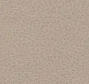 Creamy Grey