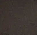 Ebony