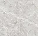 Bone
