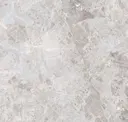 Bone