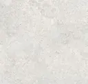 Bone