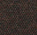 Loden (pms Black 5 C)