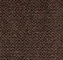 Loden
