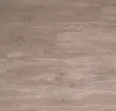 Dove