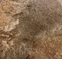 Mink Slate