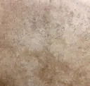 Toasted Almond