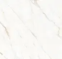 Calacatta Oro Polished