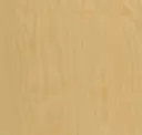 Hoop Pine